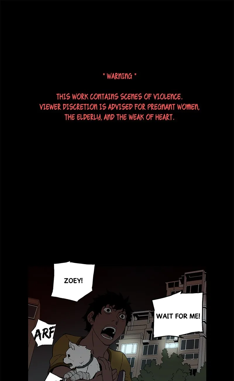 0.0 Mhz Chapter 13 page 1 - 
