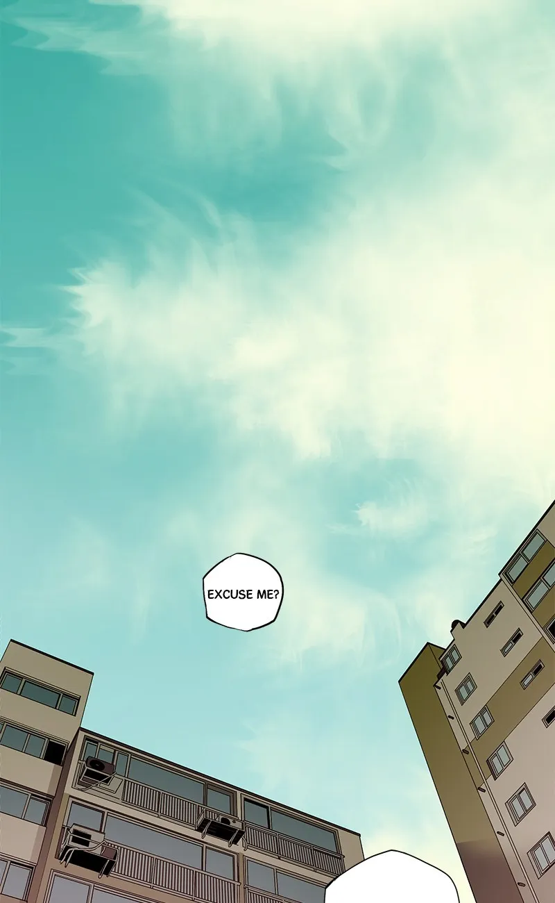 0.0 Mhz Chapter 14 page 31 - 