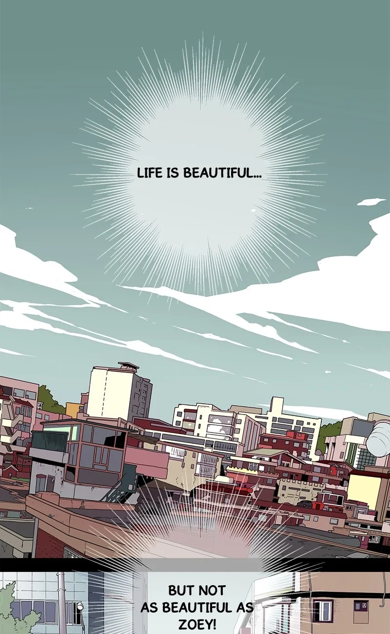 0.0 Mhz Chapter 2.99 page 11 - 