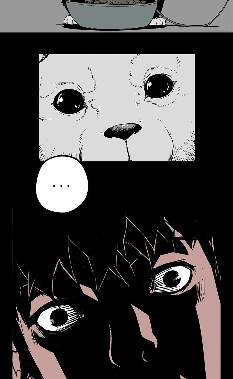 0.0 Mhz Chapter 4.99 page 11 - 