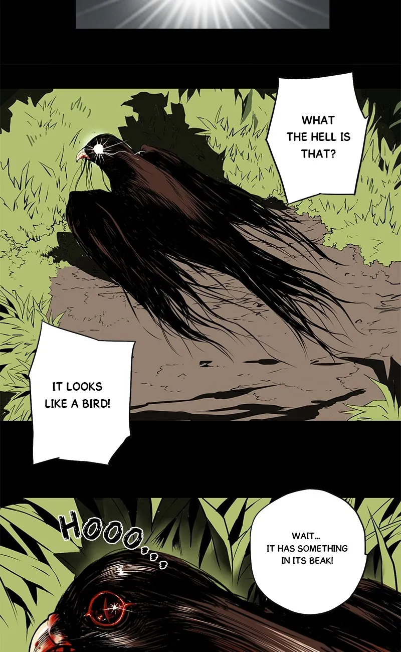 0.0 Mhz Chapter 4.99 page 24 - 