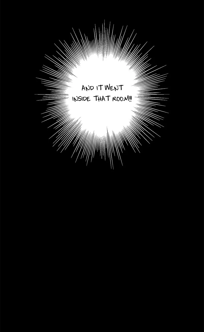 0.0 Mhz Chapter 4.99 page 31 - 