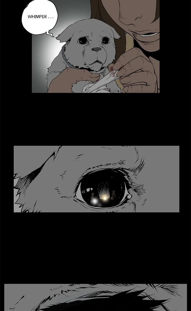 0.0 Mhz Chapter 6.99 page 36 - 