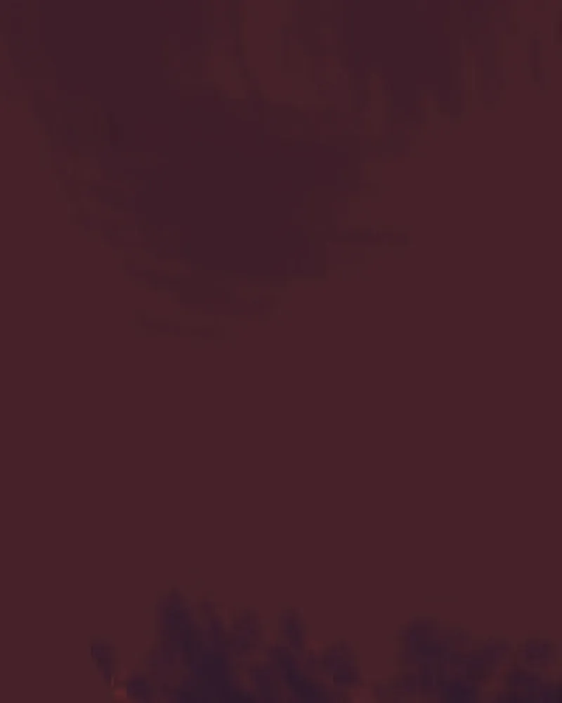 1000 Chapter 19 page 17 - 