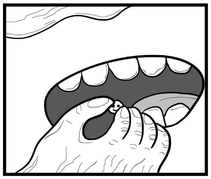 1111 Animals Chapter 38 page 8 - 