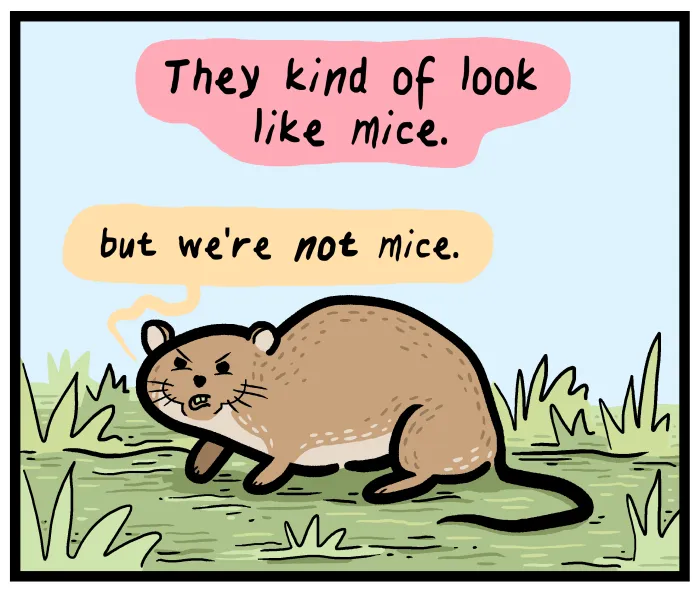 1111 Animals Chapter 47 page 4 - 