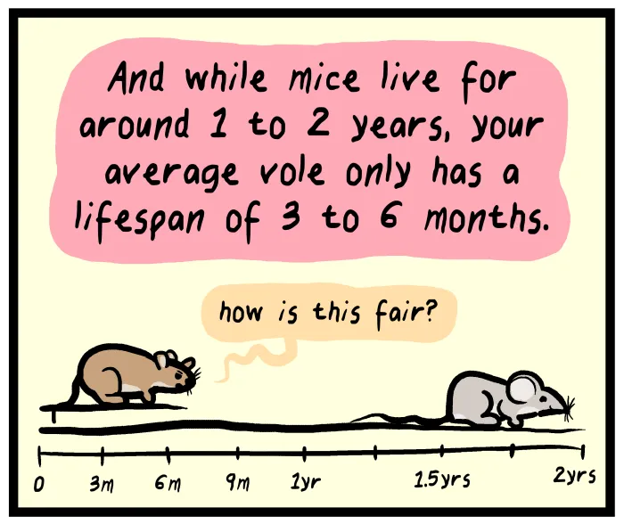 1111 Animals Chapter 47 page 5 - 