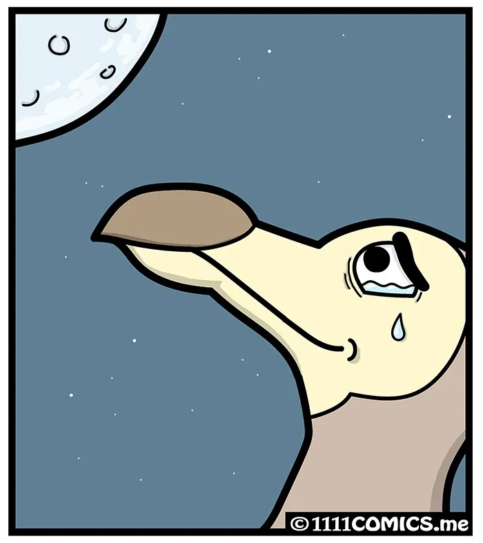 1111 Animals Chapter 6 page 5 - 