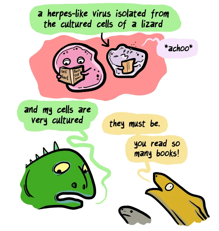 1111 Animals Chapter 61 page 7 - 
