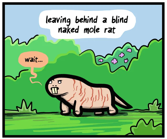 1111 Animals Chapter 67 page 8 - 