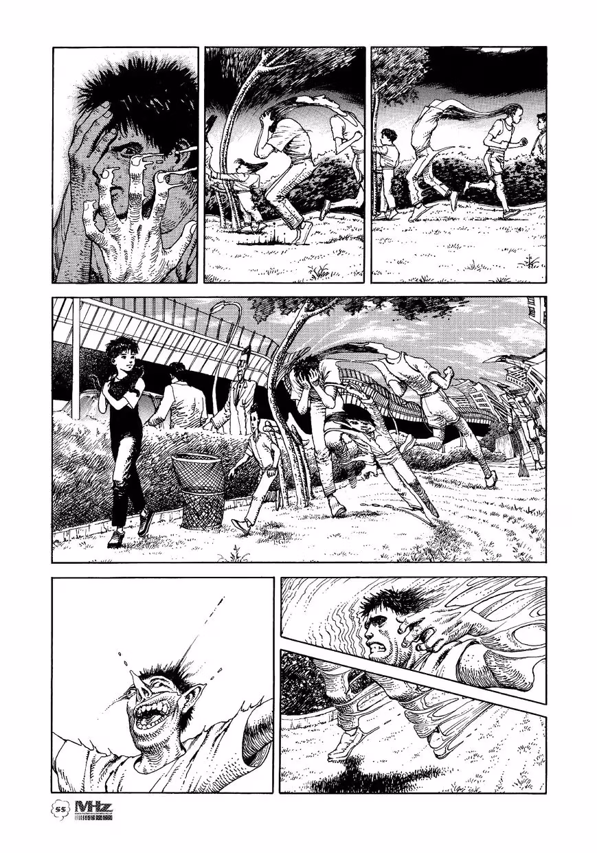 16x647 Chapter 29 page 3 - 