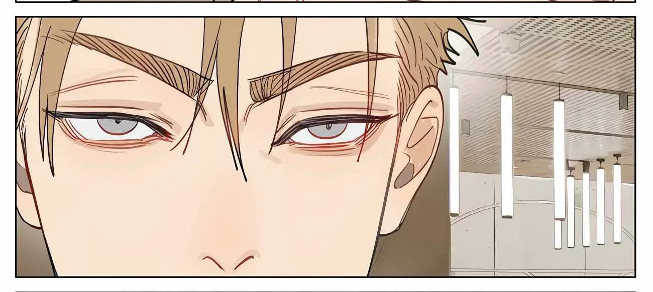 19 Days Chapter 486 page 4 - 