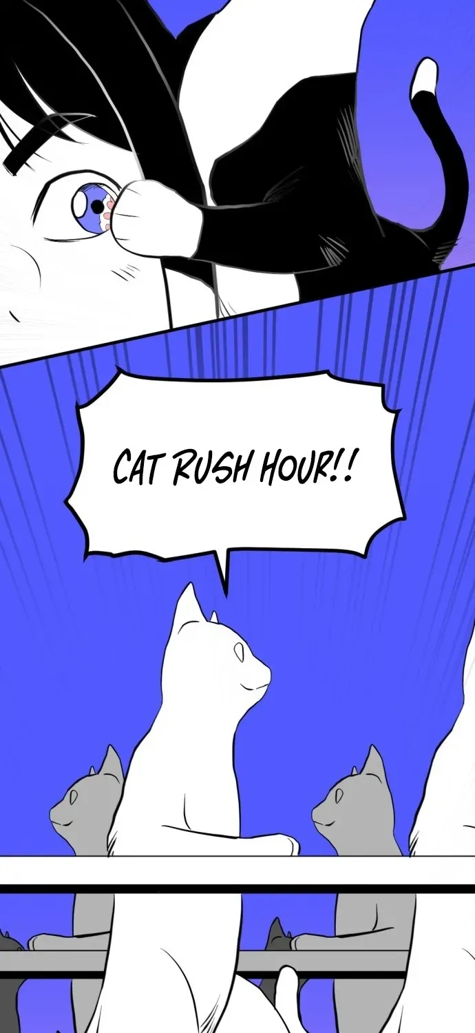2025 Rookie Anthology Chapter 2 page 72 - 