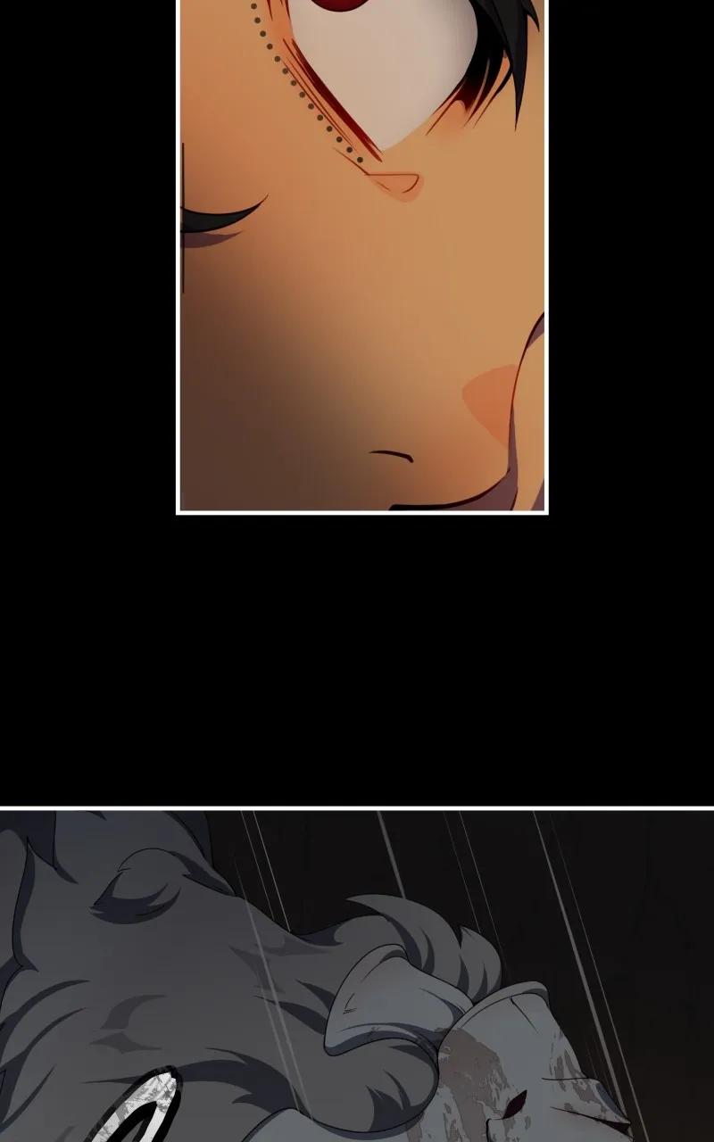 23:4 Chapter 2 page 41 - 