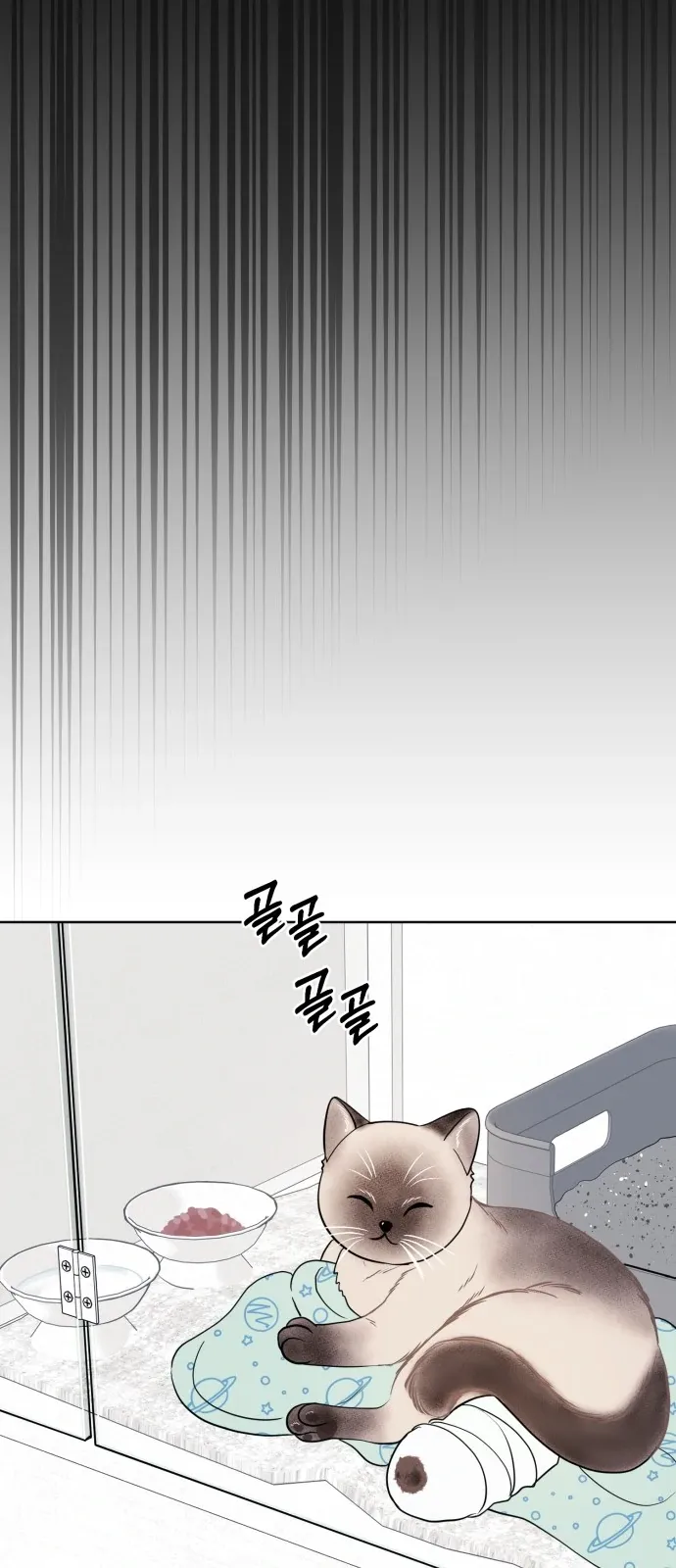 3 Servings Chapter 8 page 56 - 