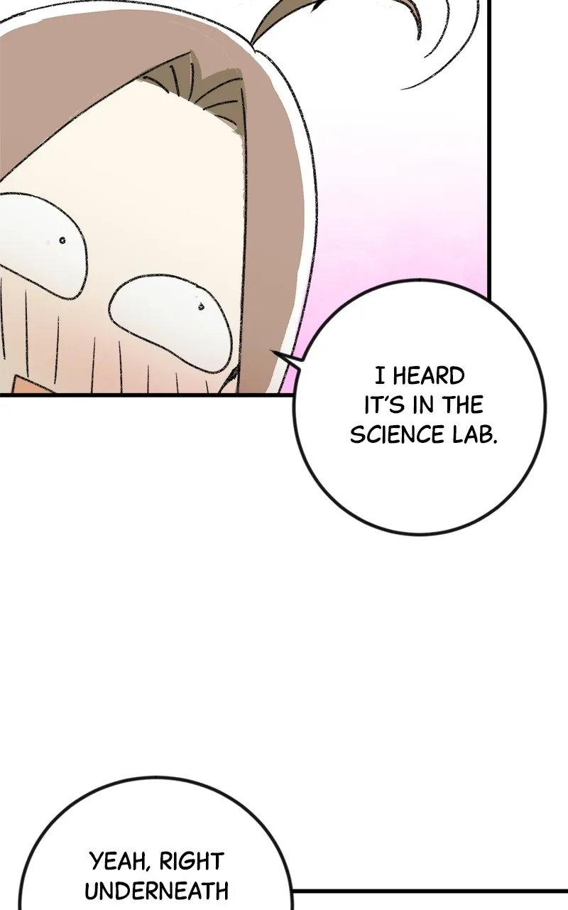 3X3! Chapter 1 page 87 - 