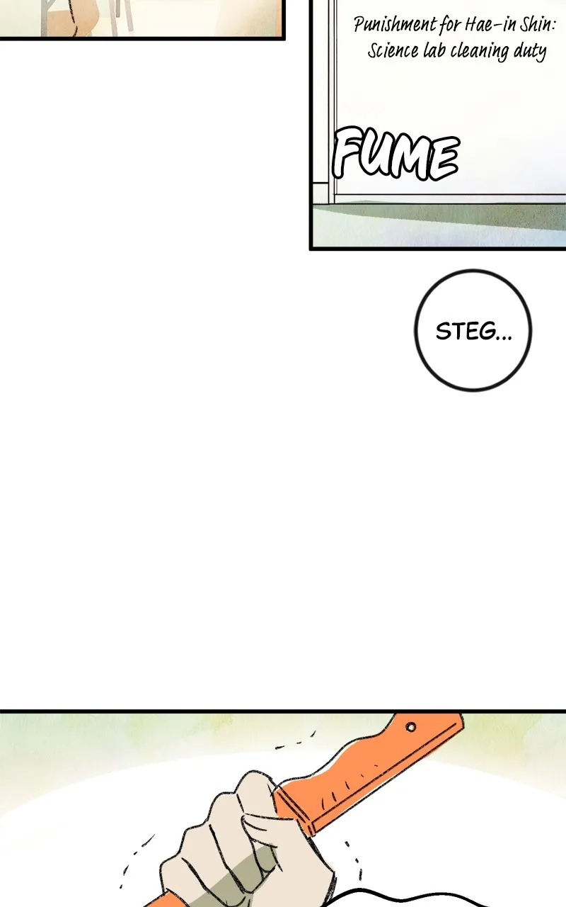 3X3! Chapter 1 page 95 - 
