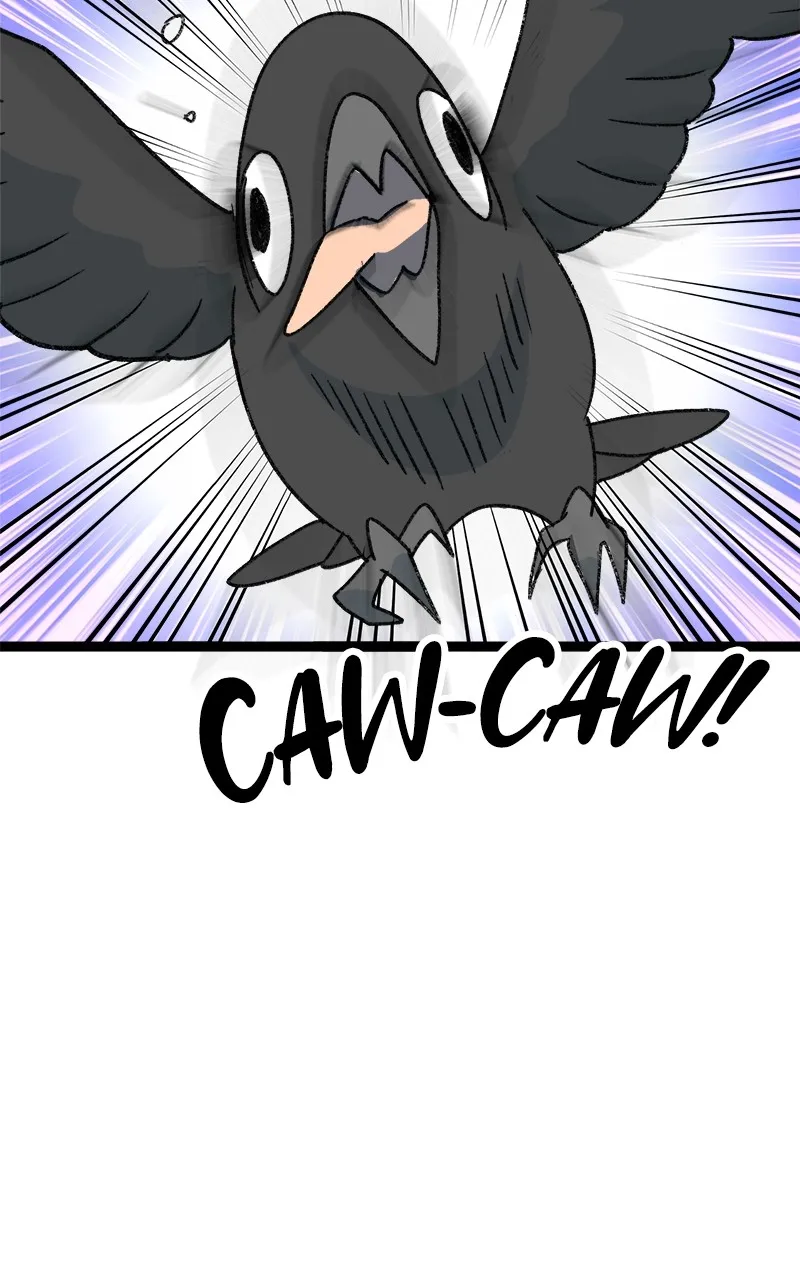 3X3! Chapter 8 page 104 - 