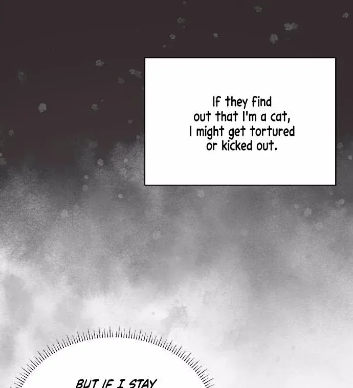  It's a Cat, Adopted by a Wolf Family? Chapter 1 page 62 - 