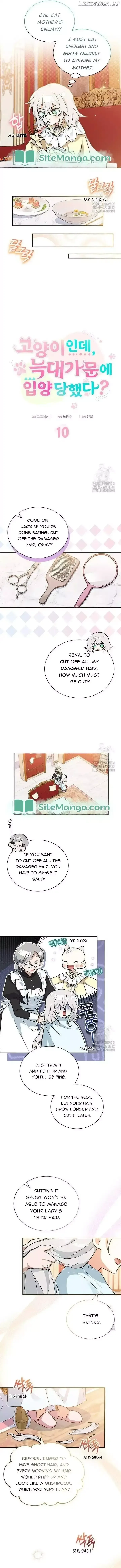  It's a Cat, Adopted by a Wolf Family? Chapter 10 page 3 - 