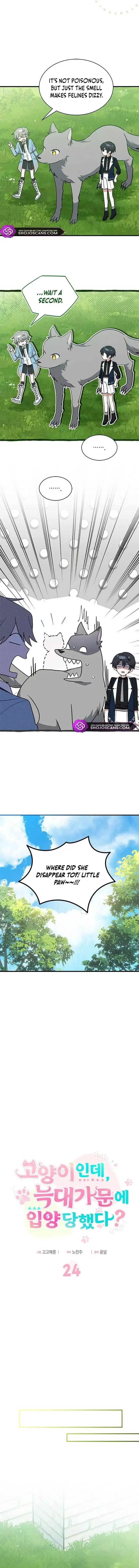  It's a Cat, Adopted by a Wolf Family? Chapter 24 page 7 - 