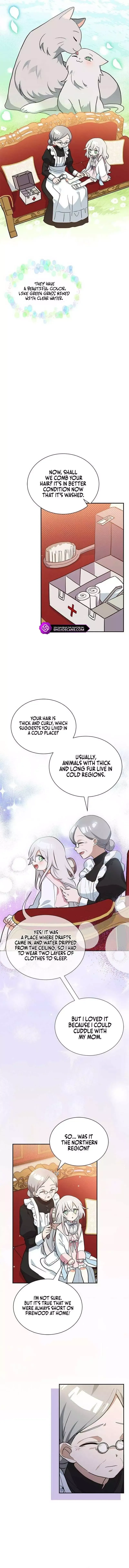  It's a Cat, Adopted by a Wolf Family? Chapter 4 page 9 - 