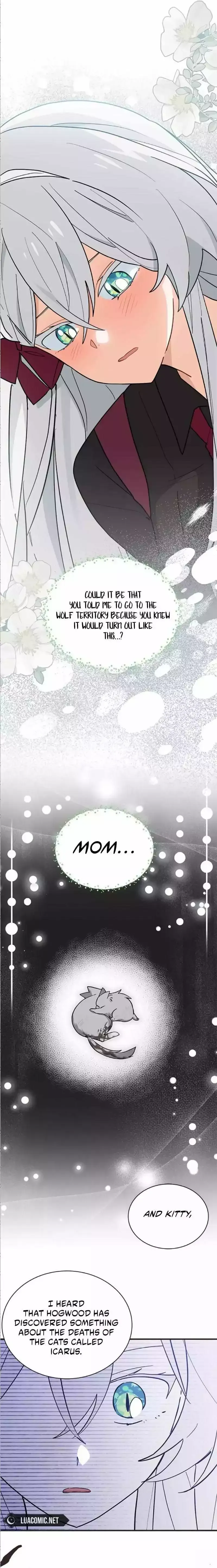  It's a Cat, Adopted by a Wolf Family? Chapter 41 page 11 - 