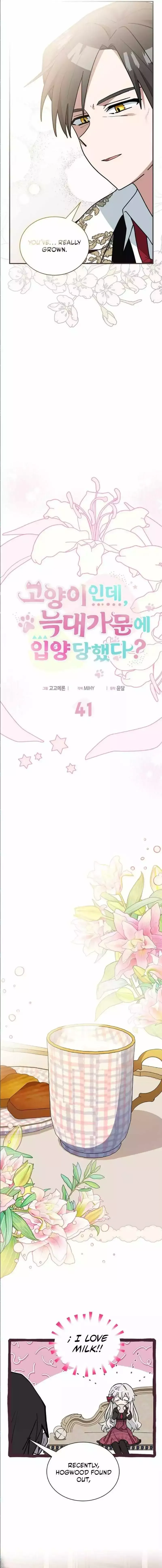  It's a Cat, Adopted by a Wolf Family? Chapter 41 page 4 - 