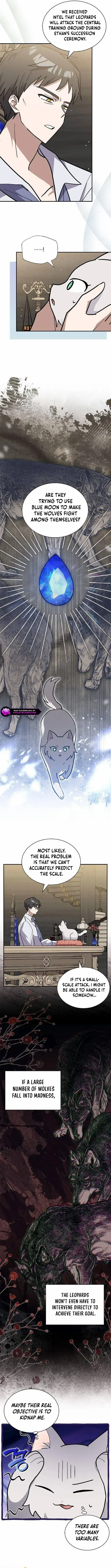  It's a Cat, Adopted by a Wolf Family? Chapter 53 page 3 - 