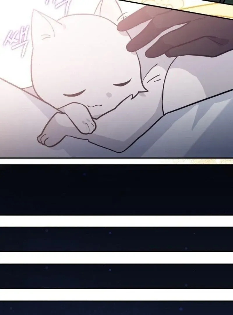  It's a Cat, Adopted by a Wolf Family? Chapter 73 page 71 - 