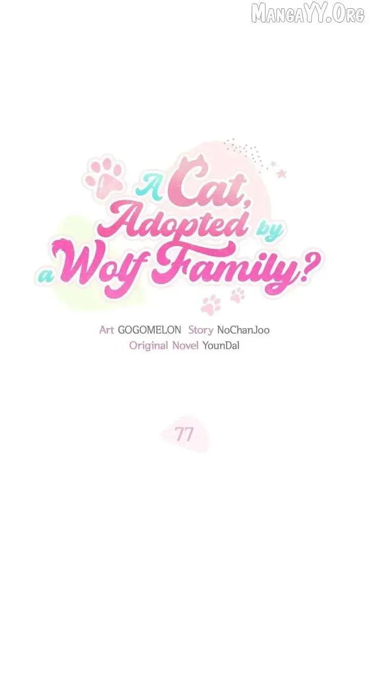 It's a Cat, Adopted by a Wolf Family? Chapter 77 page 17 - 