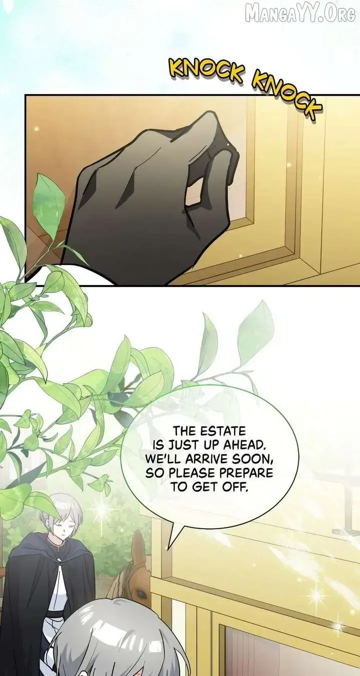  It's a Cat, Adopted by a Wolf Family? Chapter 77 page 40 - 