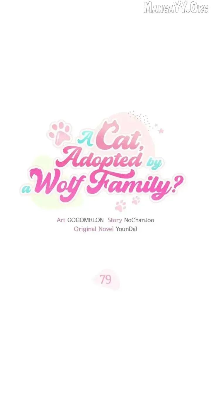  It's a Cat, Adopted by a Wolf Family? Chapter 79 page 1 - 