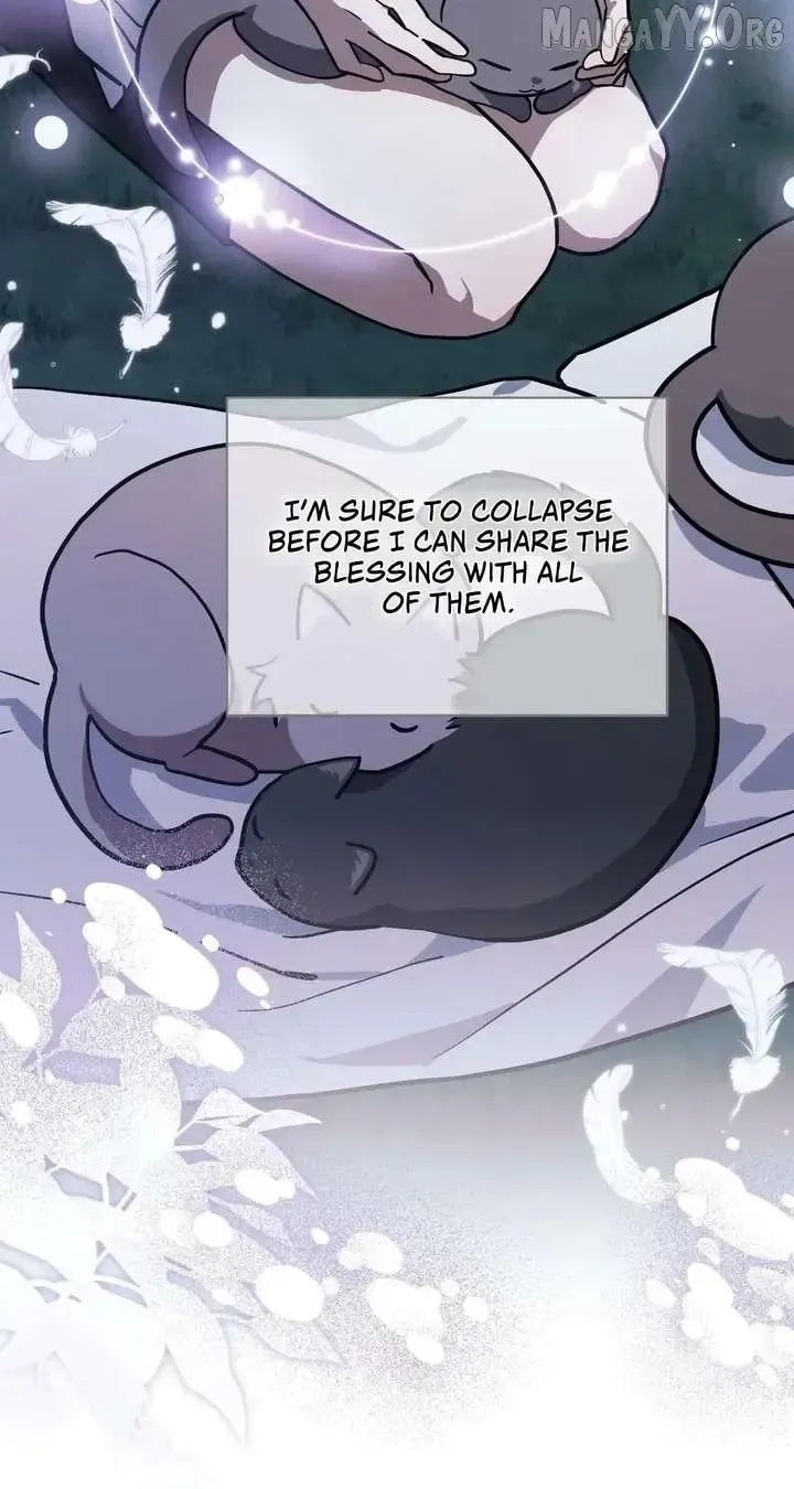  It's a Cat, Adopted by a Wolf Family? Chapter 79 page 84 - 