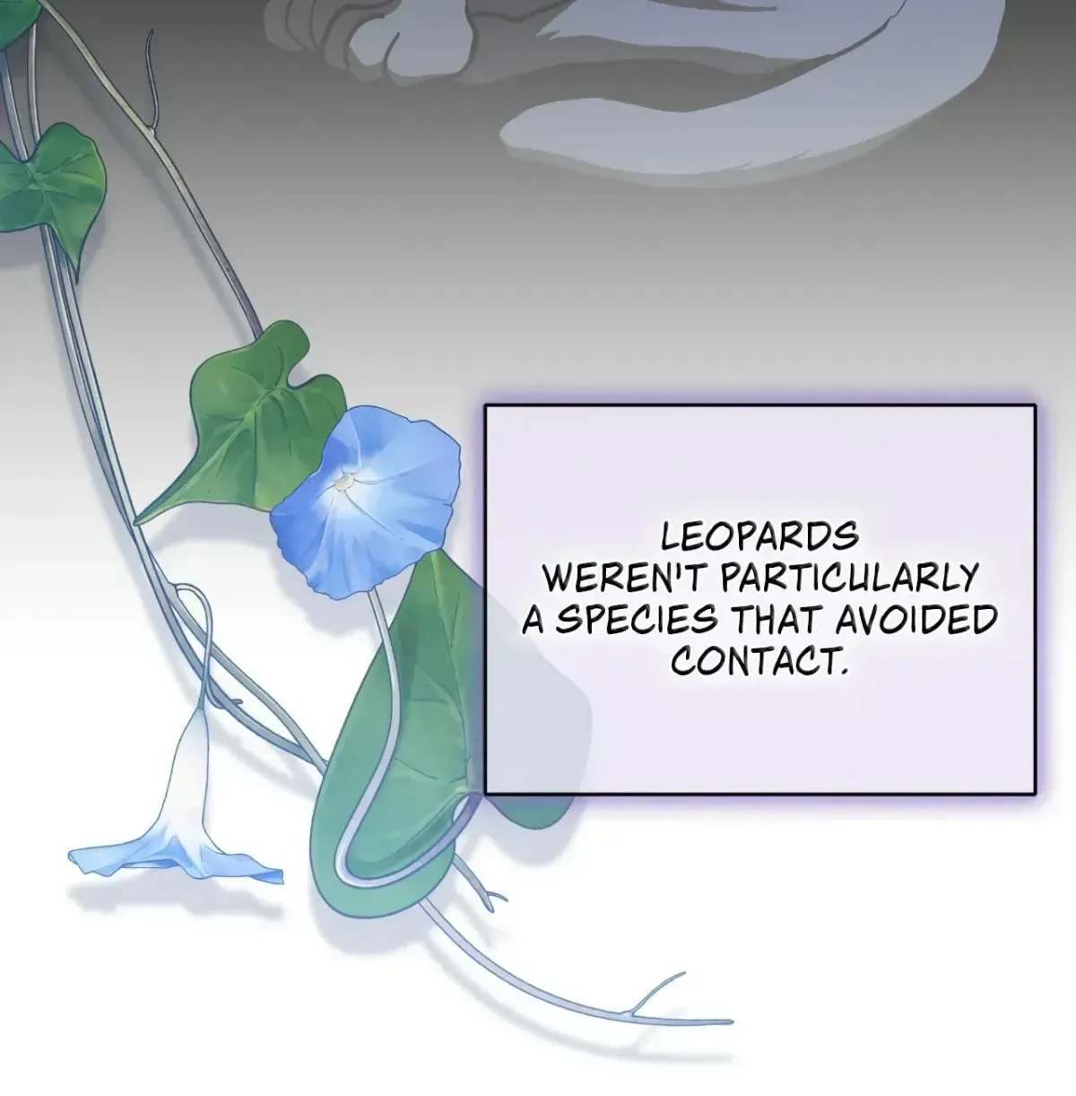  It's a Cat, Adopted by a Wolf Family? Chapter 95 page 148 - 