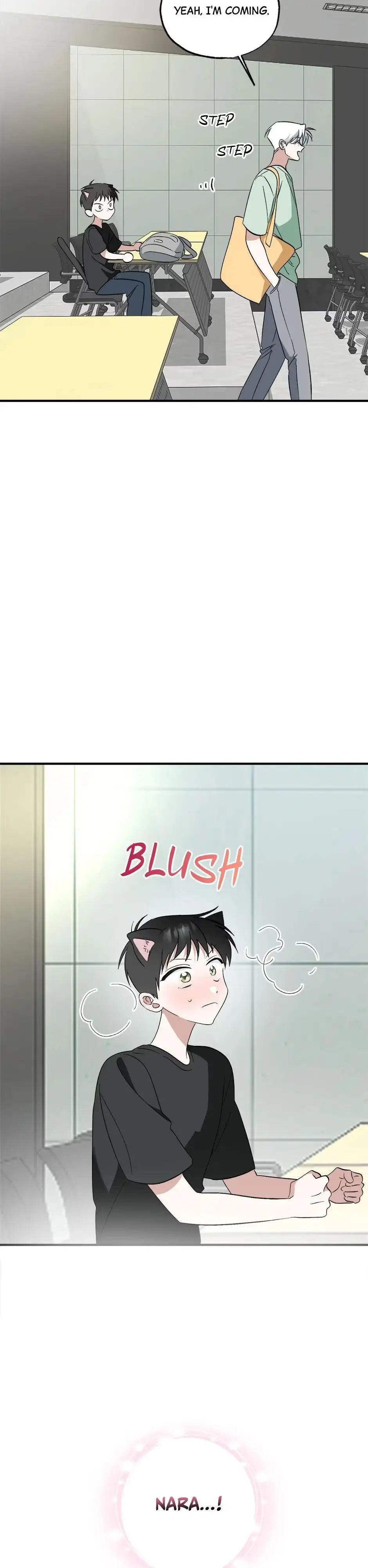 A Cat Can Even Love a Rat Chapter 1 page 12 - 