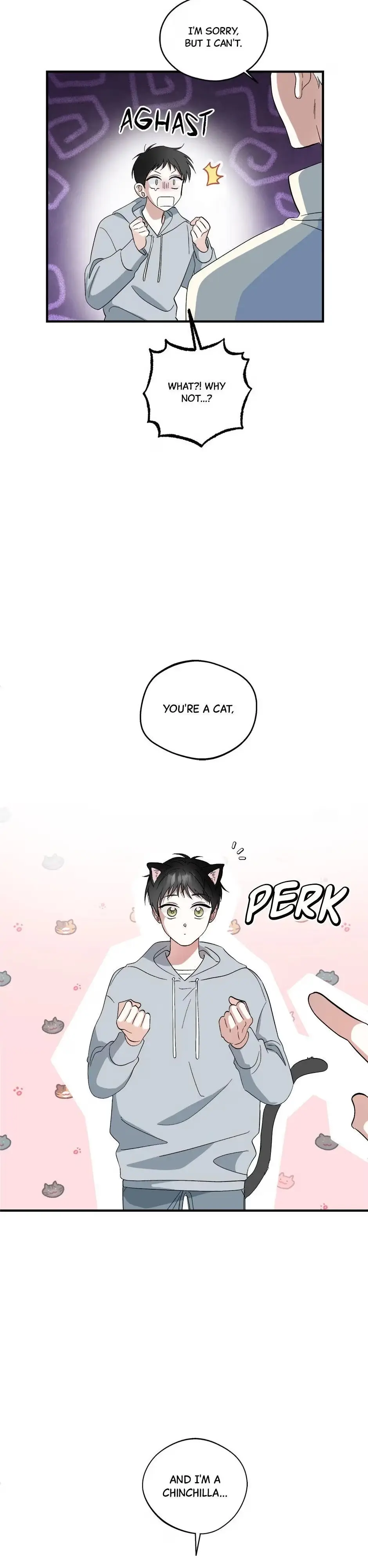 A Cat Can Even Love a Rat Chapter 1 page 3 - 