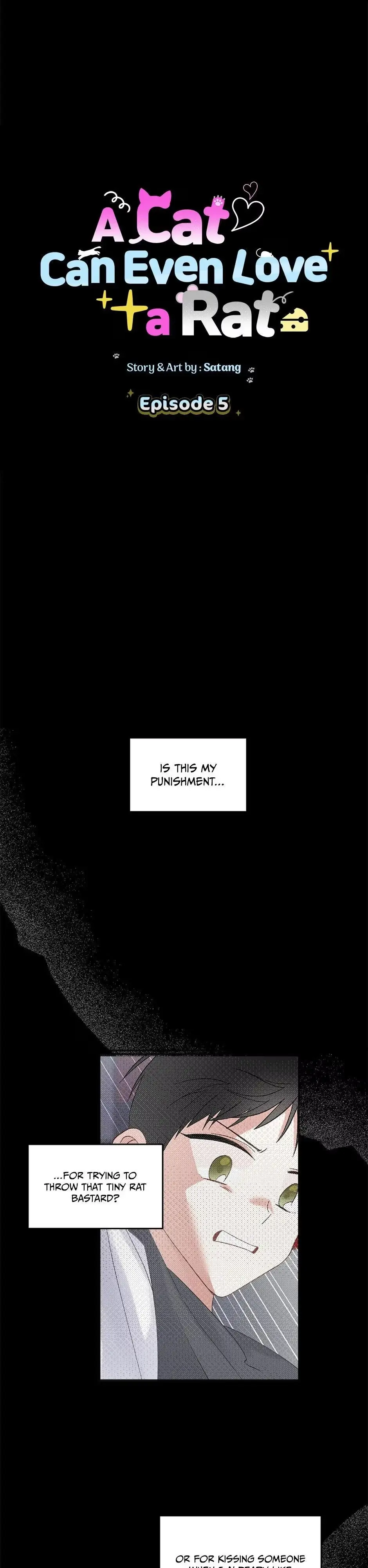 A Cat Can Even Love a Rat Chapter 5 page 1 - 