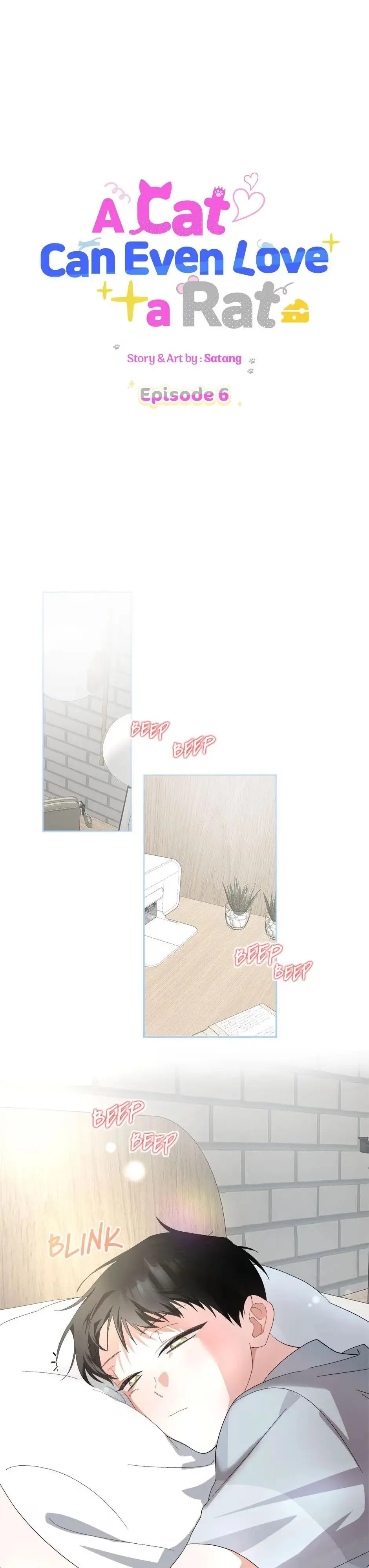 A Cat Can Even Love a Rat Chapter 6 page 1 - 