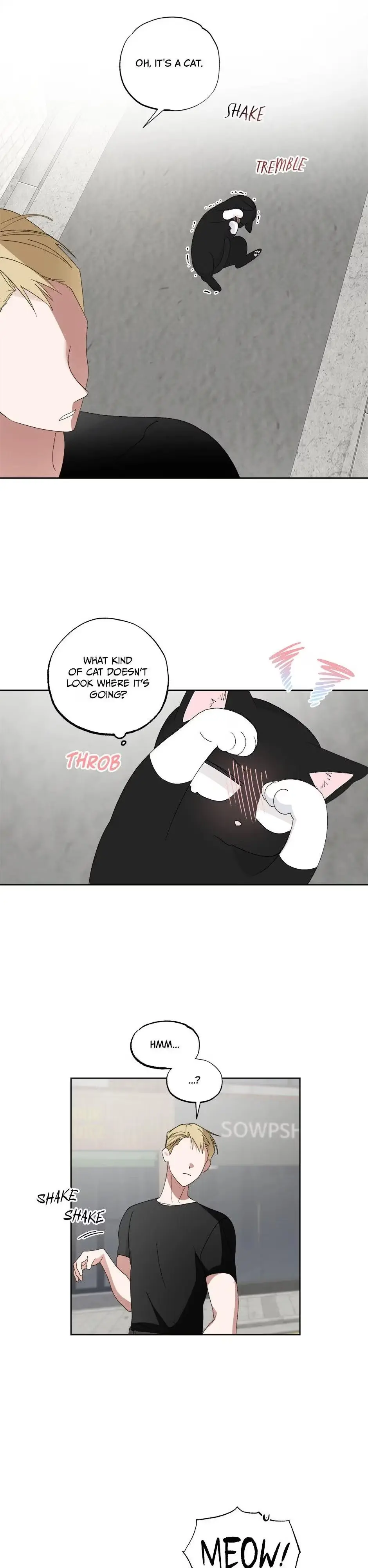 A Cat Can Even Love a Rat Chapter 6 page 15 - 