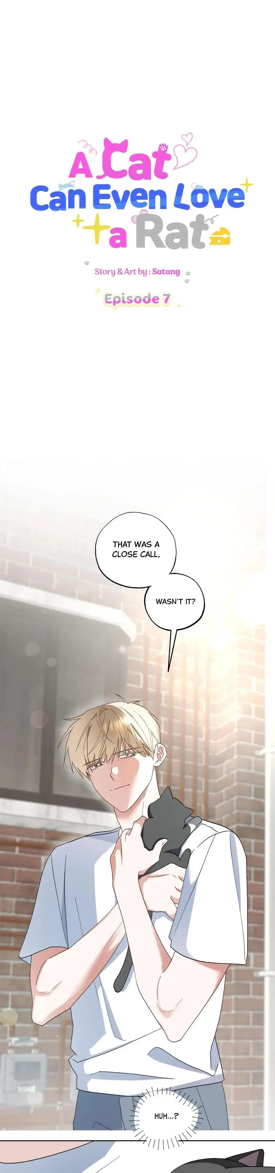 A Cat Can Even Love a Rat Chapter 7 page 1 - 