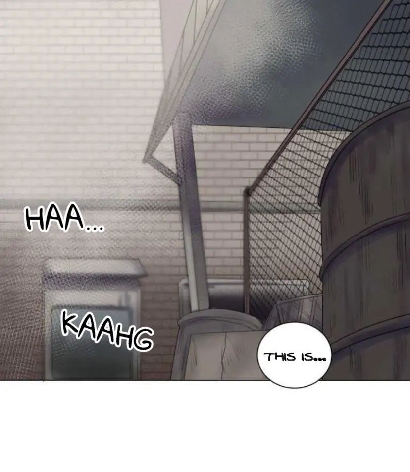 A Dead Crow's Stare Chapter 13 page 1 - 