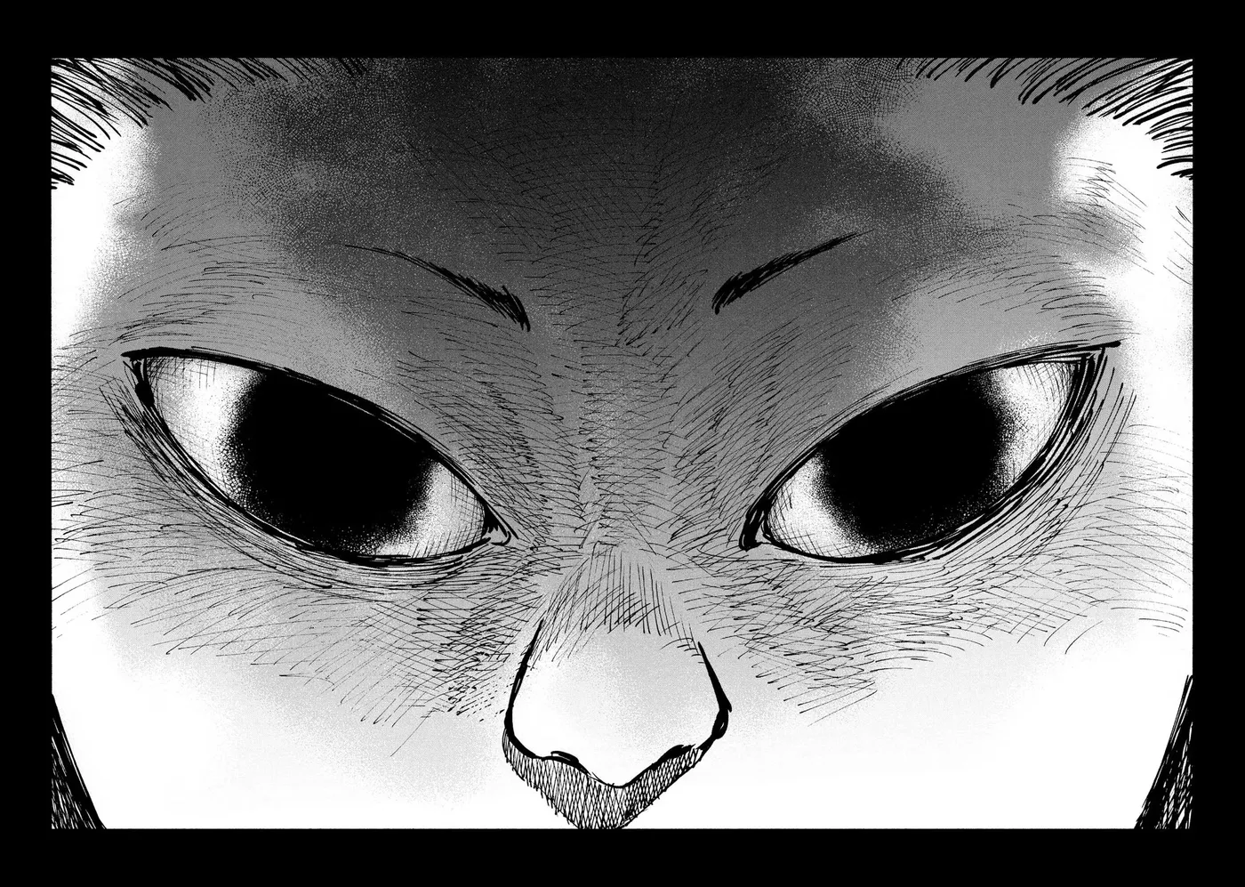 A-DO Chapter 55 page 14 - 