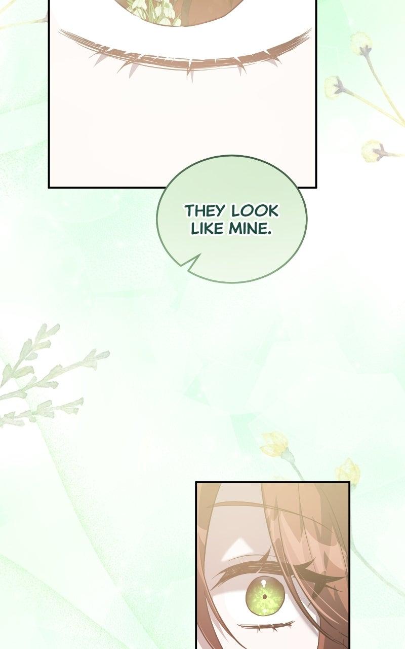 A Dying Maid’s Guide to Revenge Chapter 13 page 71 - 