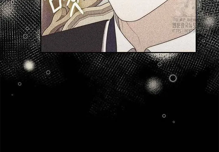 A Fortune-Telling Princess Chapter 79 page 25 - 