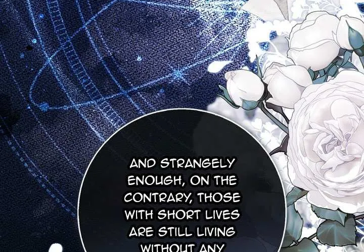 A Fortune-Telling Princess Chapter 83 page 25 - 