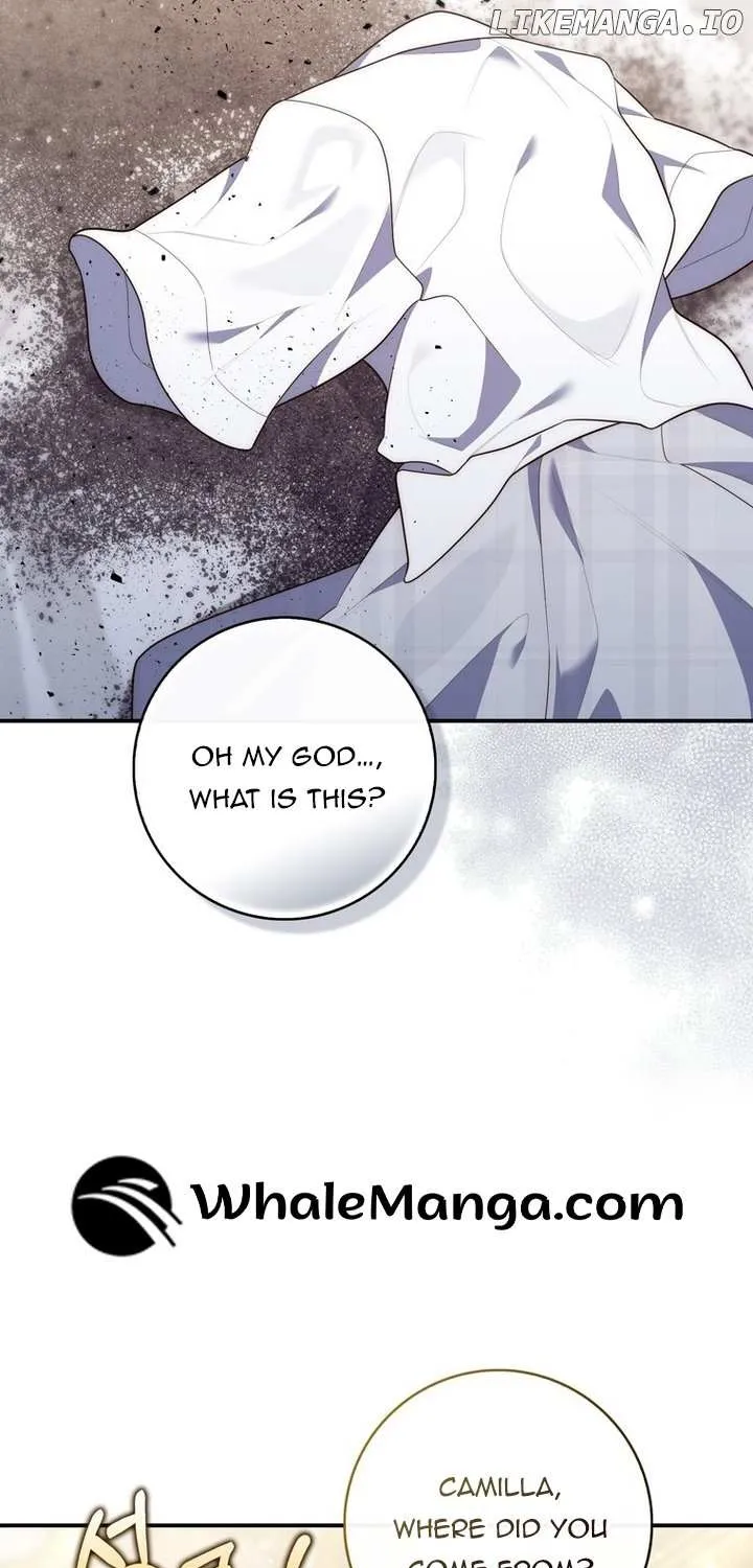 A Fortune-Telling Princess Chapter 84 page 20 - 