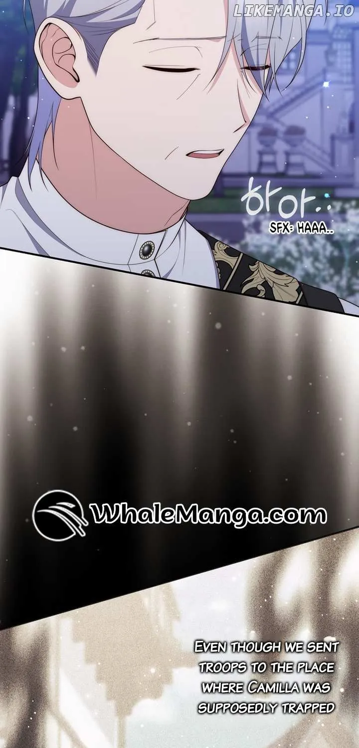 A Fortune-Telling Princess Chapter 84 page 62 - 