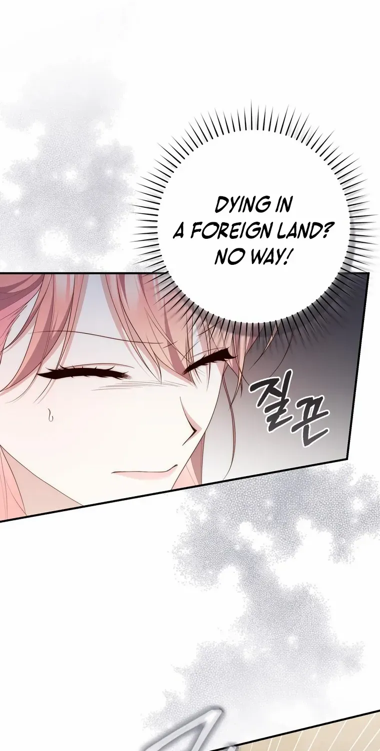 A Fortune-Telling Princess Chapter 97 page 66 - 