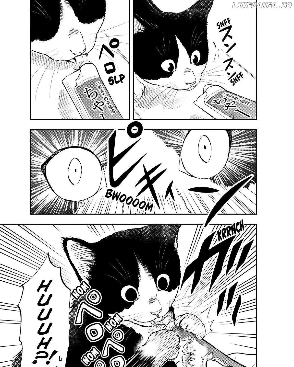 A Gamer Living with a Cat Chapter 11 page 18 - 